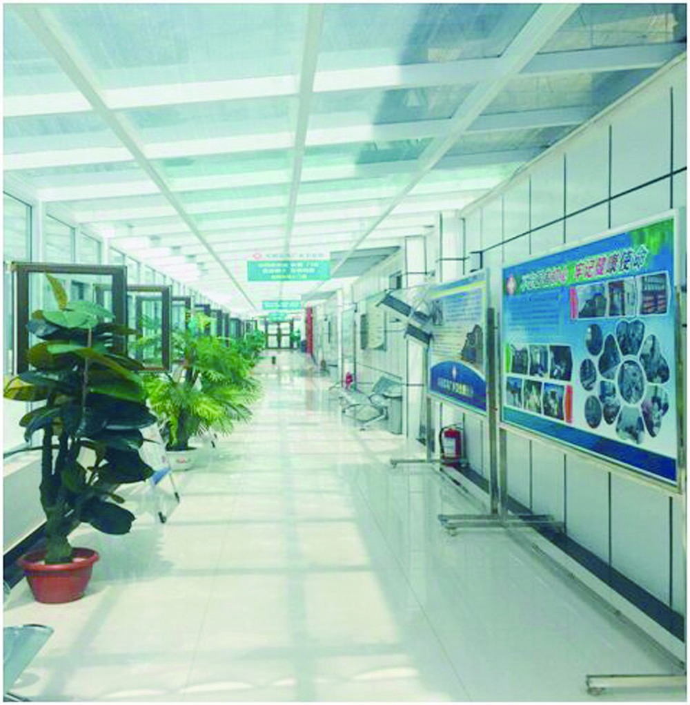 乐都好房,乐都安置房