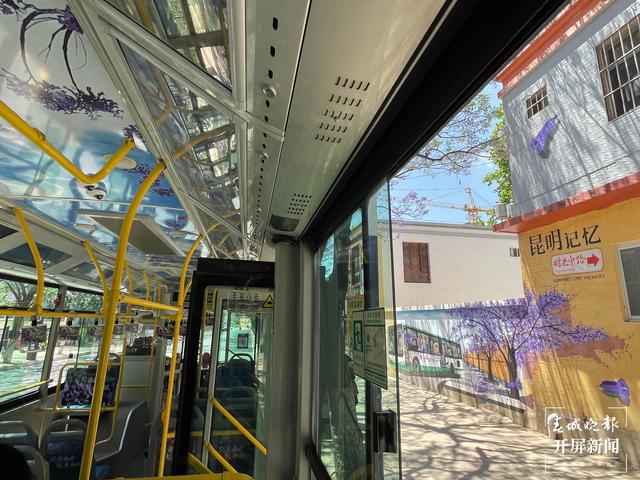 昆明蓝花楹主题公园路线,昆明赏蓝花楹巴士