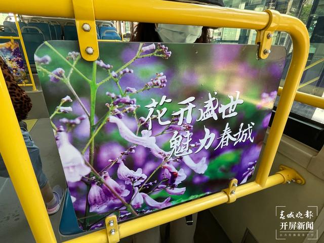 昆明蓝花楹主题公园路线,昆明赏蓝花楹巴士