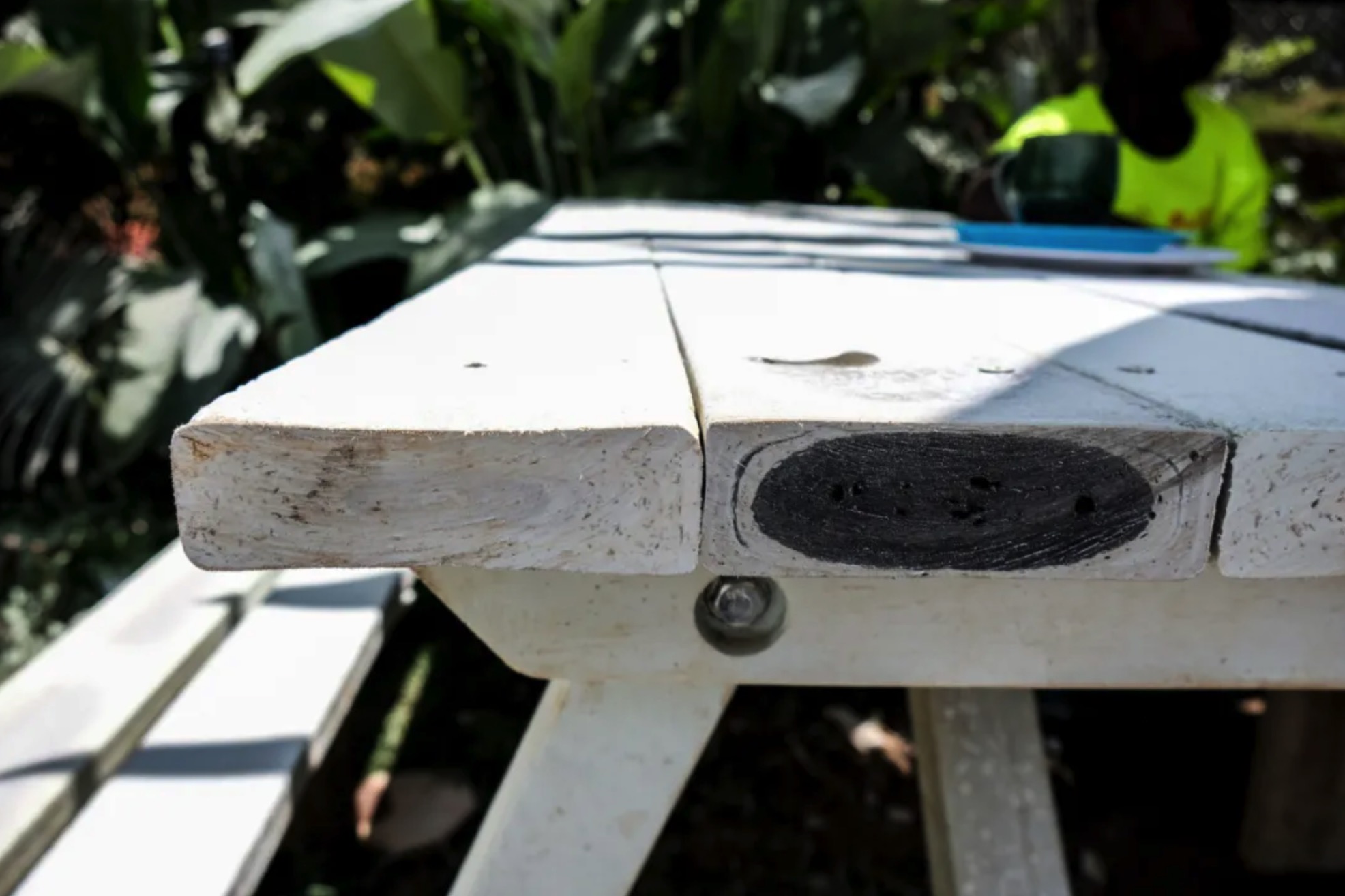 你好非洲|什么是快乐星球？