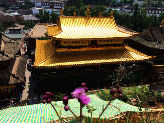 高原民族青海湖,青藏高原最炫民族风完整版女声