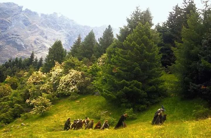 指环王最终兑现承诺了吗,指环王到底有多牛