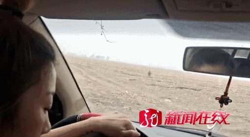 半岛聚焦丨只认“金钱”不识“豹”,为了流量闹哪样?盘点杭州“瞒豹”事件始末