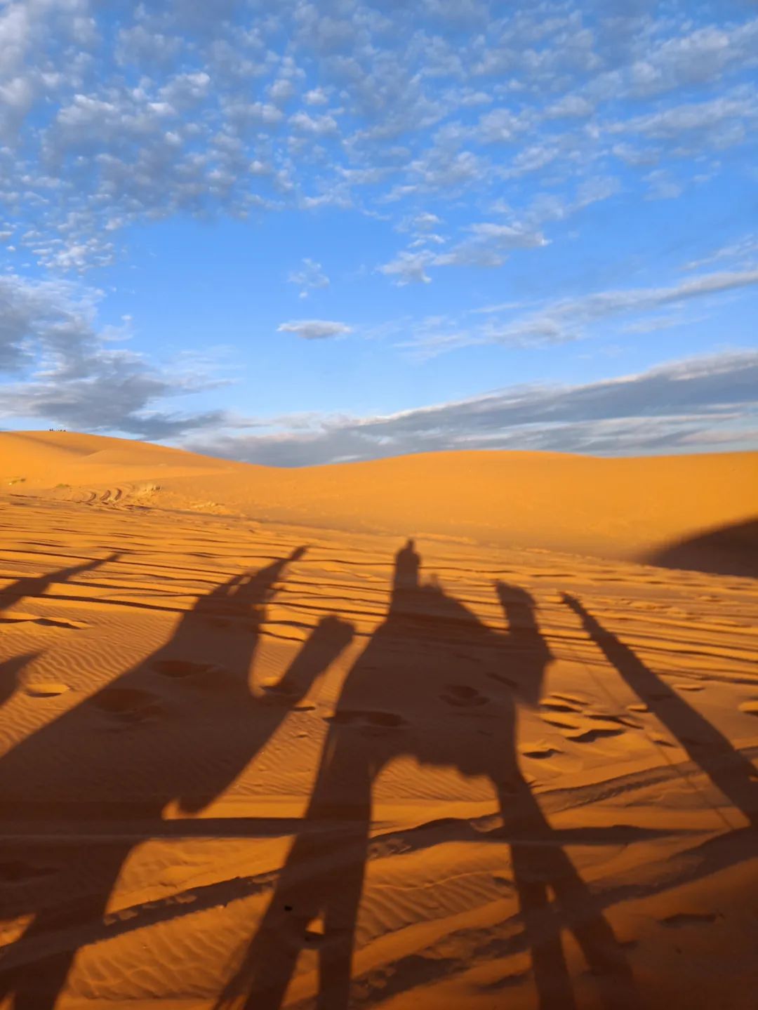 我，29岁，在非洲挣了1000万