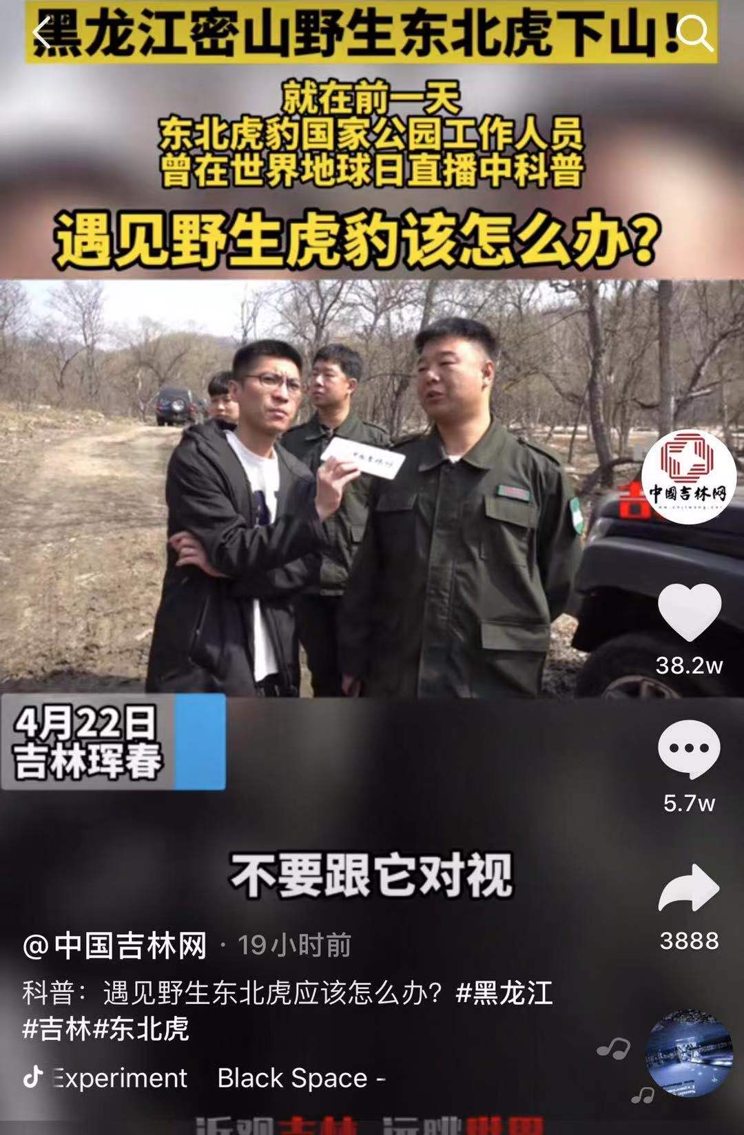 老虎进村真实现象,专家谈老虎进村