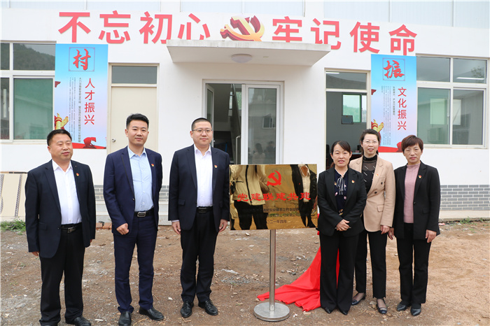 党建点亮乡村振兴方案,抓党建促乡村振兴示范村