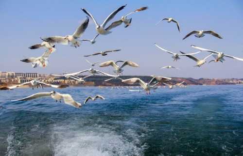 嵩县被命名为生态文明建设示范区,嵩县湿地保护工程