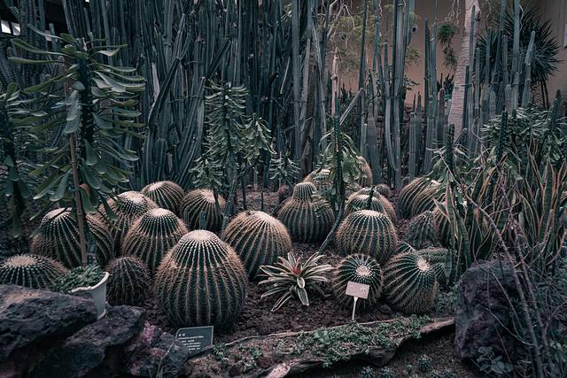唐山带娃周末旅游攻略,唐山出发带娃两日游
