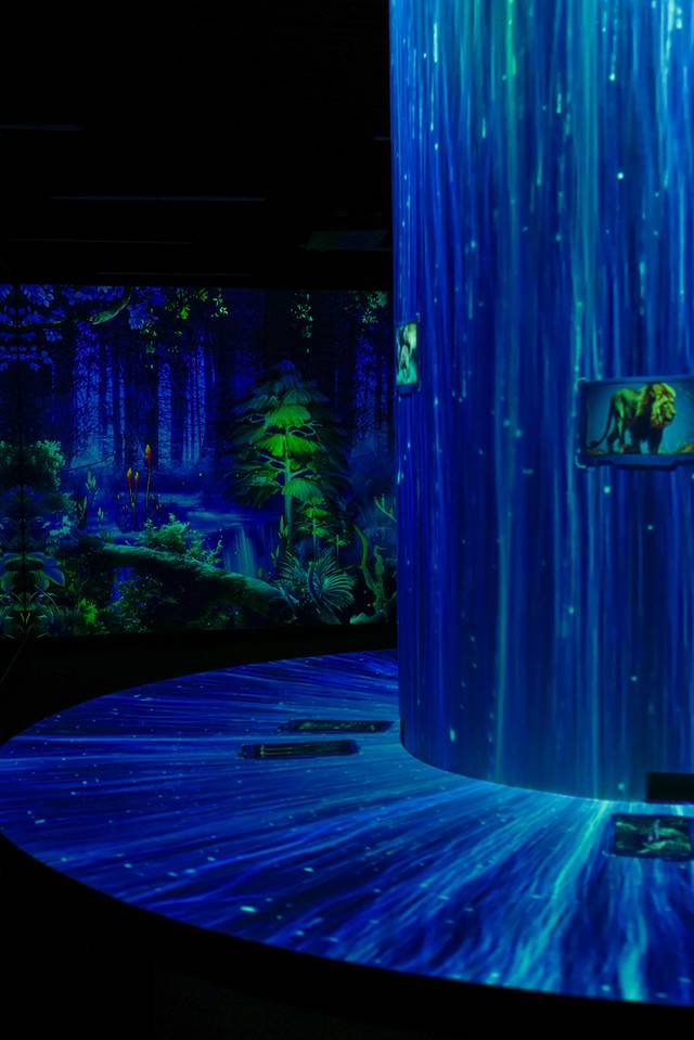 唐山带娃周末旅游攻略,唐山出发带娃两日游