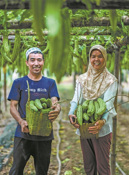 广西各城市冷知识,广西最有名的冷知识