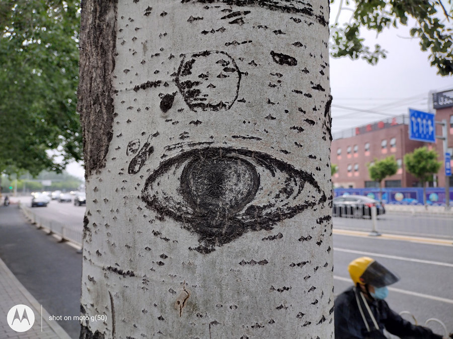 motorolag54值得入手吗,motorolag50价格