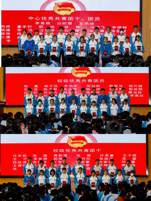 青春向党奋斗强国主题团日流程,青春向党奋斗强国团日活动心得