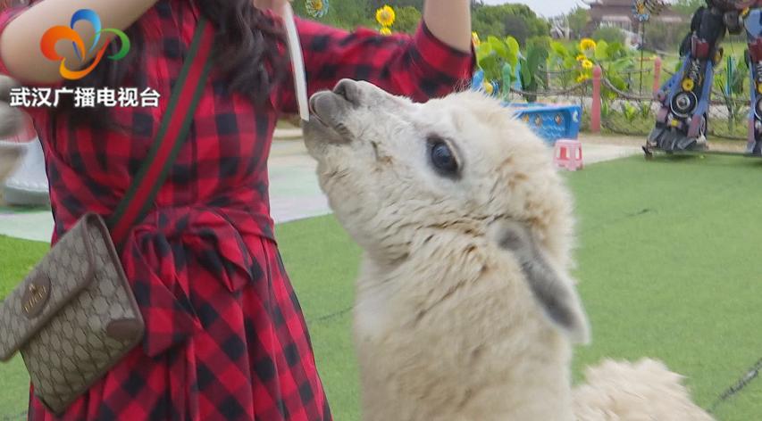 木兰草原旅游详细攻略,木兰草原值得游玩项目有哪些