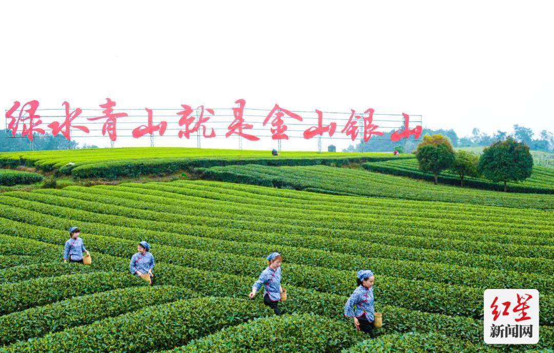 蒲江周边一小时玩耍地方,成都蒲江附近游玩的地方推荐