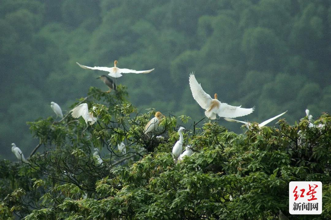 蒲江周边一小时玩耍地方,成都蒲江附近游玩的地方推荐