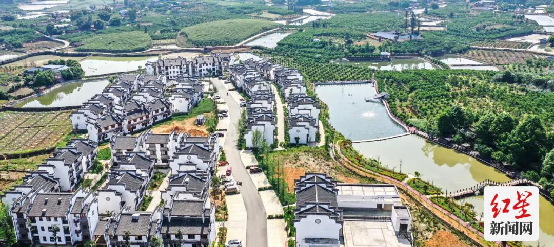 蒲江周边一小时玩耍地方,成都蒲江附近游玩的地方推荐