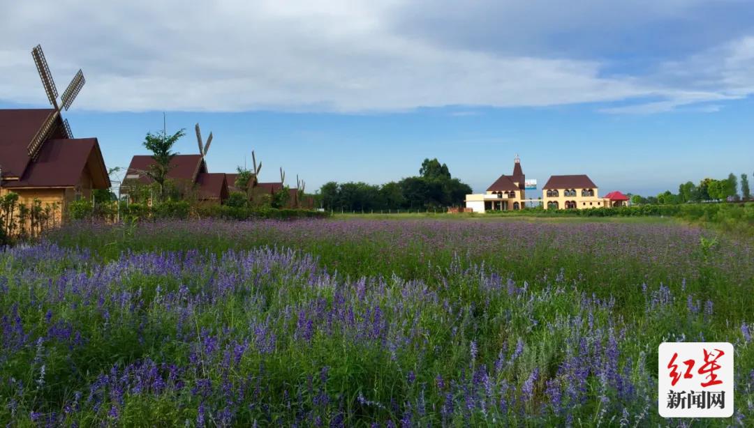蒲江周边一小时玩耍地方,成都蒲江附近游玩的地方推荐