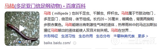 马陆虫又在商南过风楼境内出现，农综站干部盼专家给予防治建议