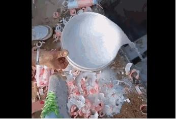 大量牛奶倒入水沟视频,白花花的牛奶倒掉