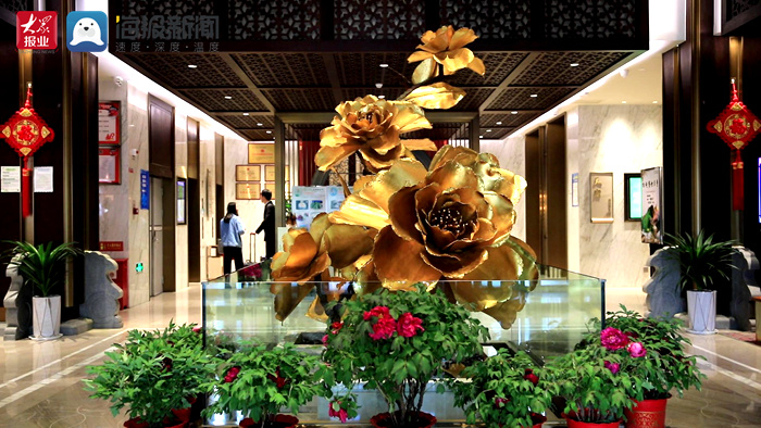 菏泽牡丹园牡丹宴,菏泽牡丹宴绽放