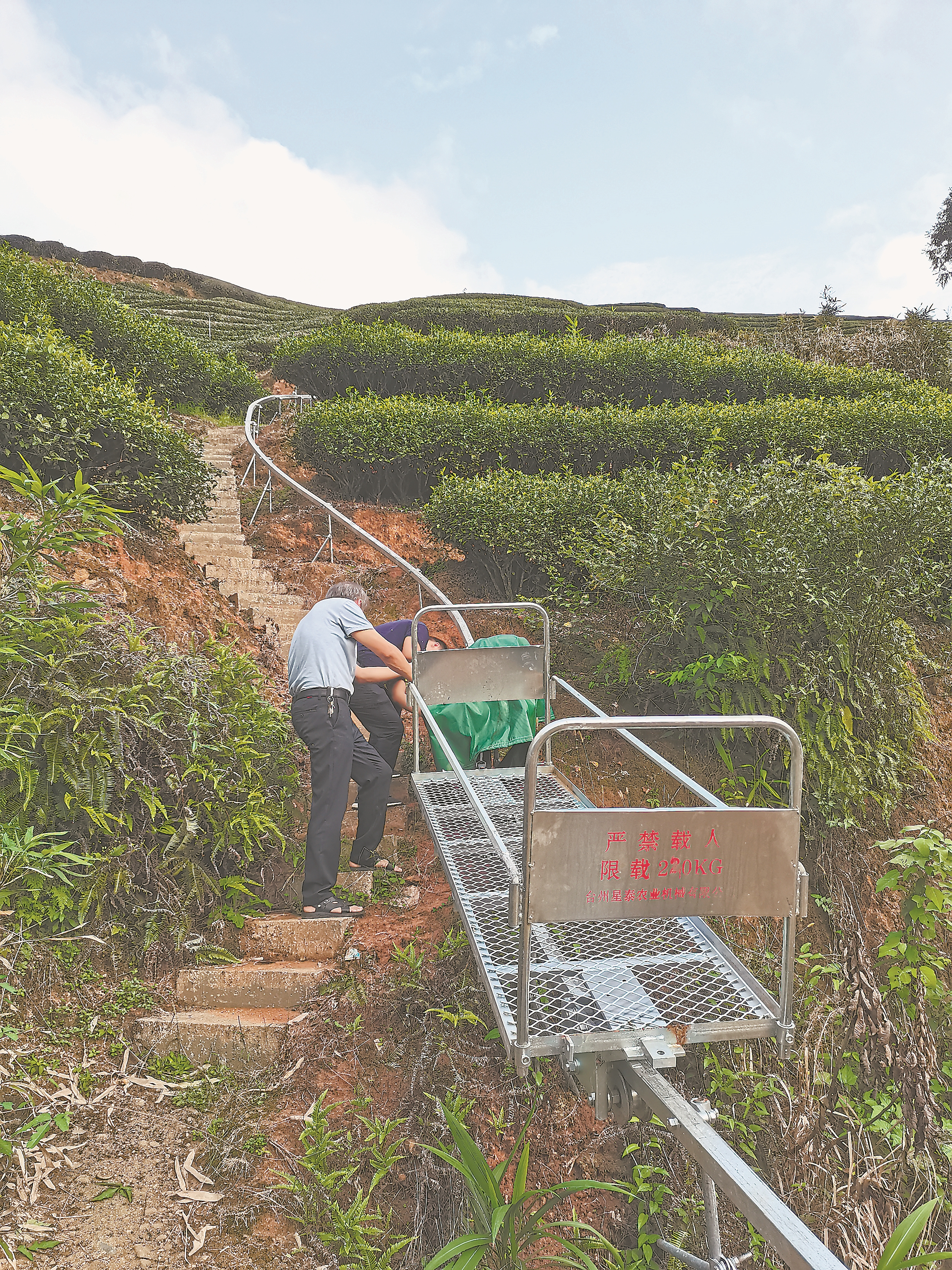 四川茶园管理机,茶园耕田机