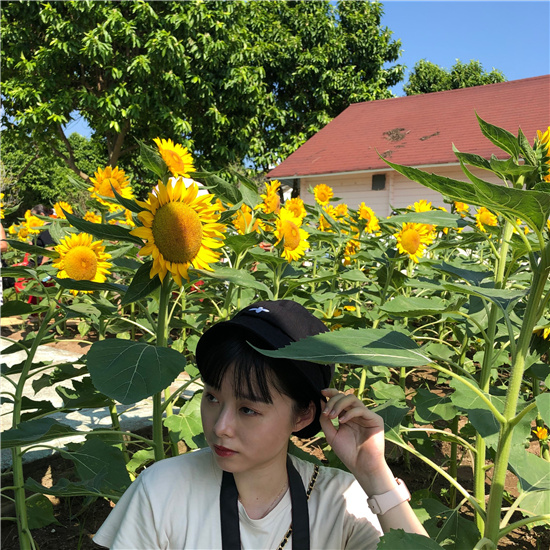 一盅两件早茶,一盅两件叹早茶