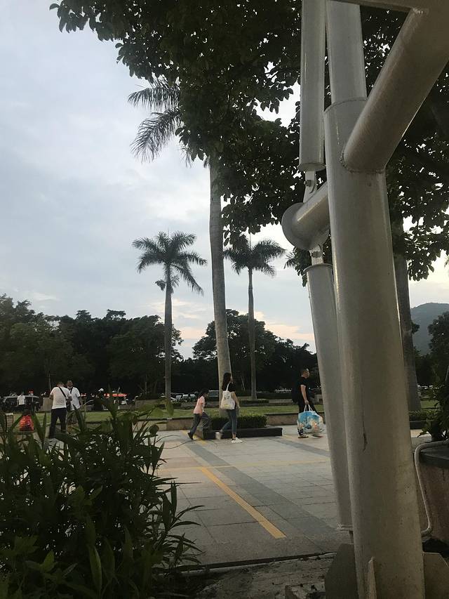 五一打卡珠海，雨神与我们同在