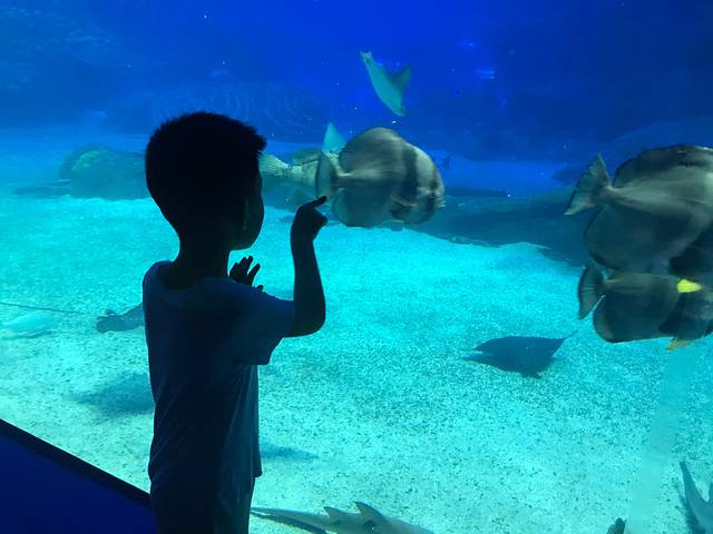 五一打卡珠海，雨神与我们同在