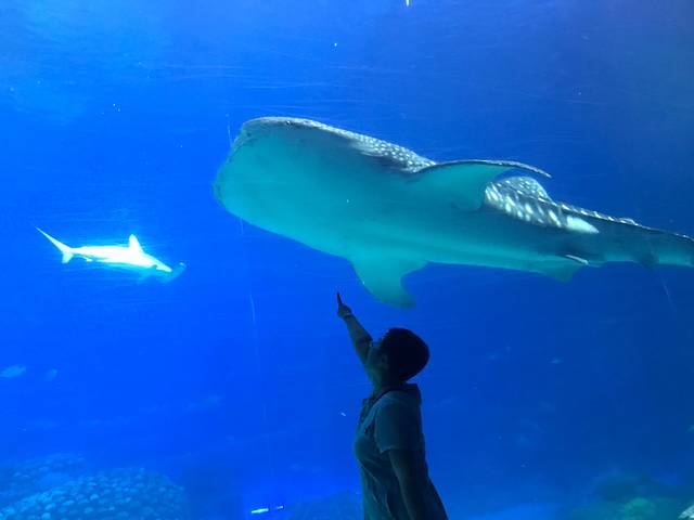 五一打卡珠海，雨神与我们同在