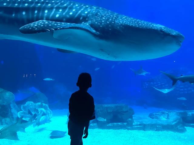 五一打卡珠海，雨神与我们同在