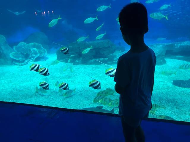 五一打卡珠海，雨神与我们同在