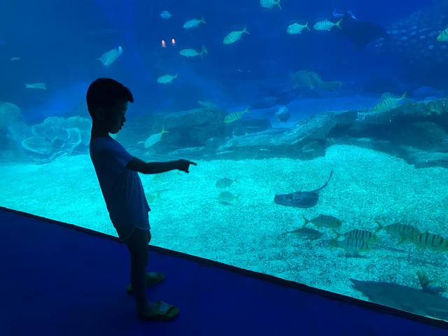 五一打卡珠海，雨神与我们同在