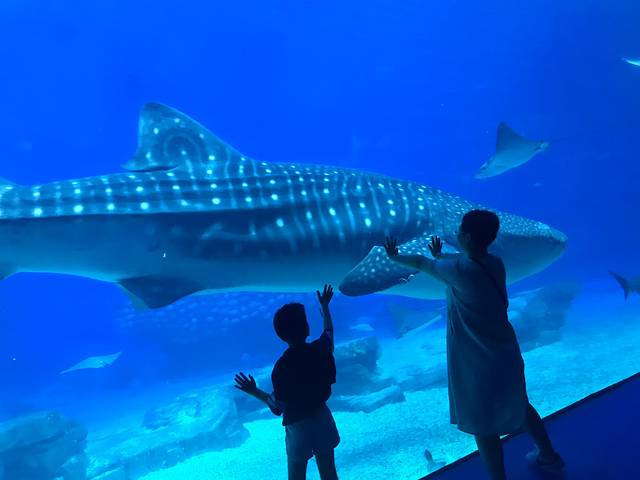 五一打卡珠海，雨神与我们同在