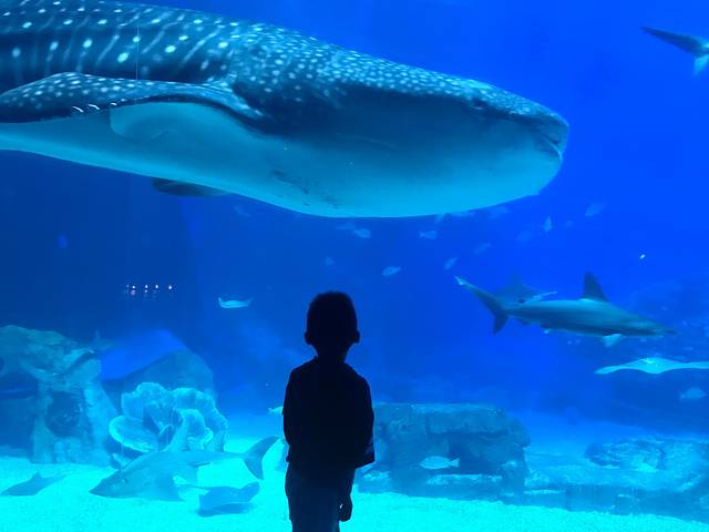 五一打卡珠海，雨神与我们同在