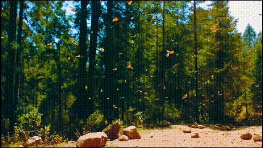 新冠第一针疫苗超时没接种怎么办,广州新冠第一针疫苗没打怎么办