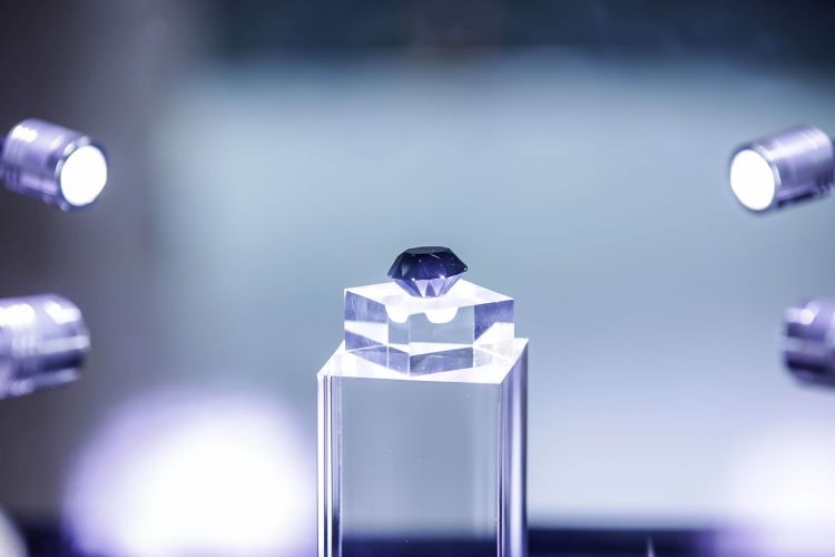 国际大牌尖货将亮相首届消博会,新品尖货消博会上首发首展