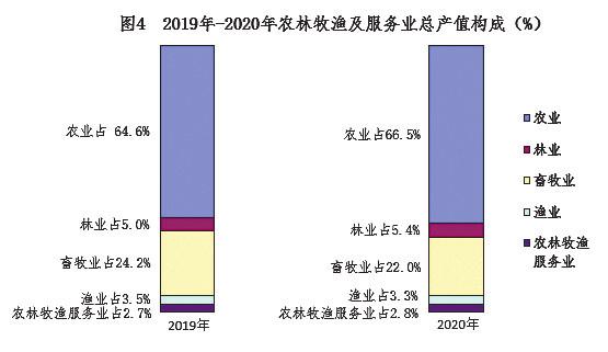 2022南宁经济形势分析,2019年南宁国民经济