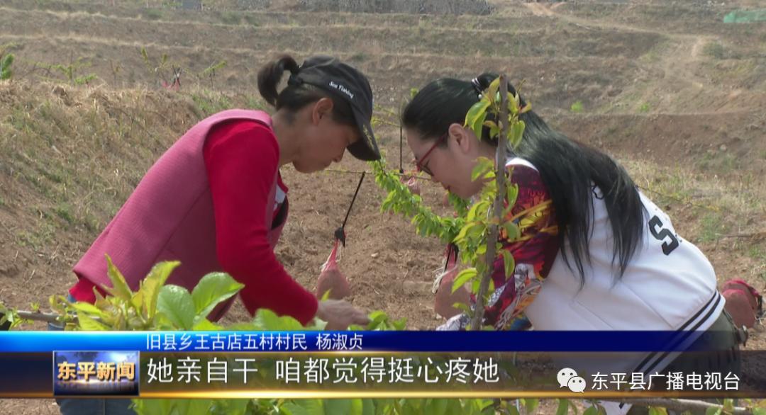 巾帼“愚公”潘婷：誓让荒山换新颜