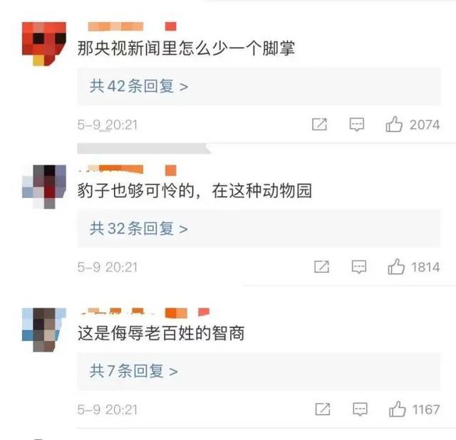 半岛聚焦丨只认“金钱”不识“豹”,为了流量闹哪样?盘点杭州“瞒豹”事件始末