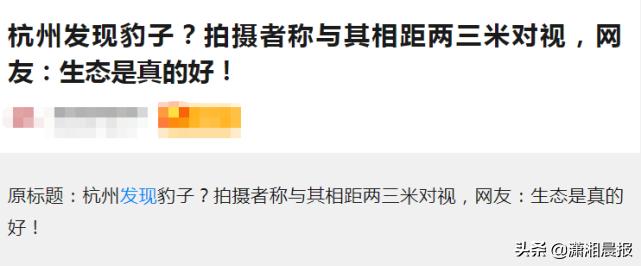 半岛聚焦丨只认“金钱”不识“豹”,为了流量闹哪样?盘点杭州“瞒豹”事件始末