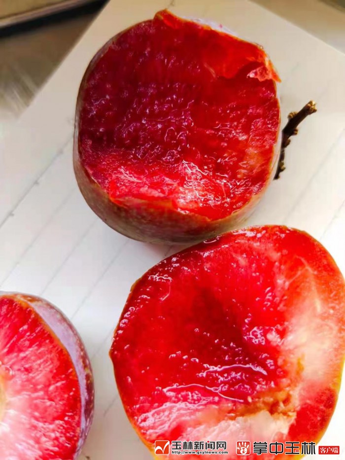 看！荒山野岭的聪明农业