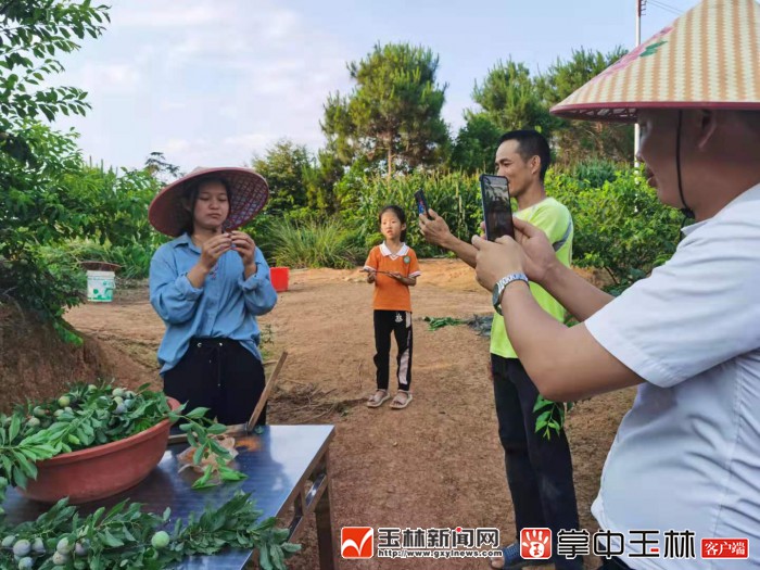 看！荒山野岭的聪明农业