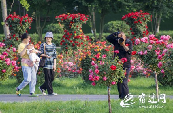 沭阳:“城市客厅”托起“家门口”的幸福感