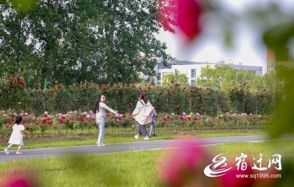 沭阳:“城市客厅”托起“家门口”的幸福感
