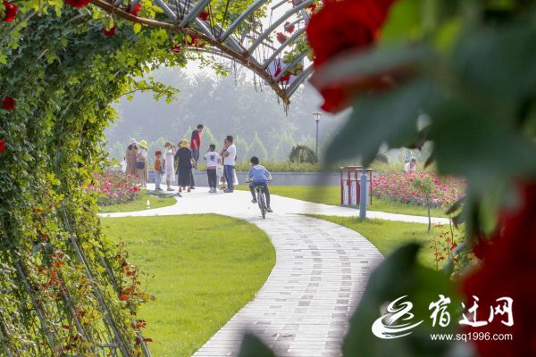 沭阳:“城市客厅”托起“家门口”的幸福感