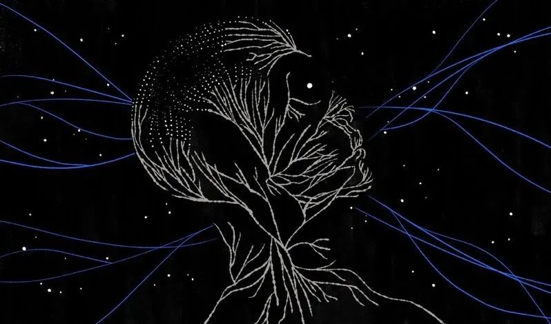 人体解剖的黑暗历史,人体解剖的黑暗故事