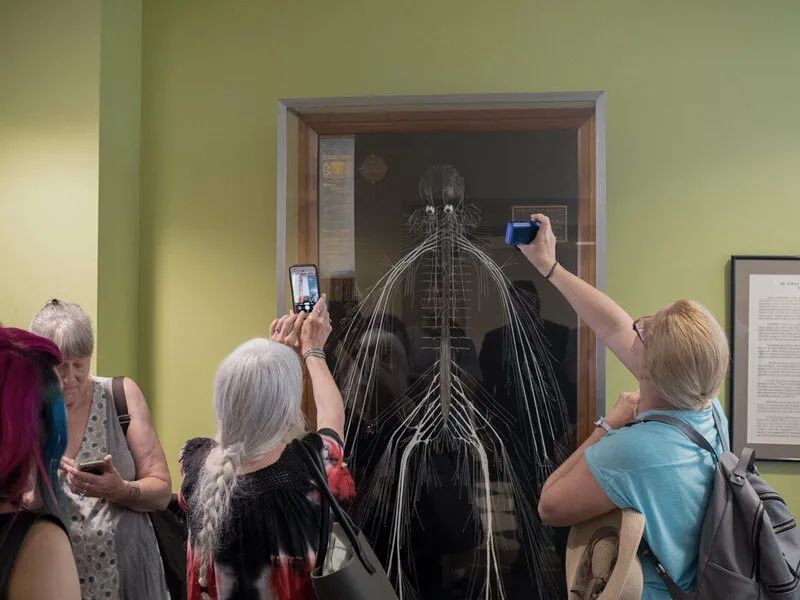 人体解剖的黑暗历史,人体解剖的黑暗故事