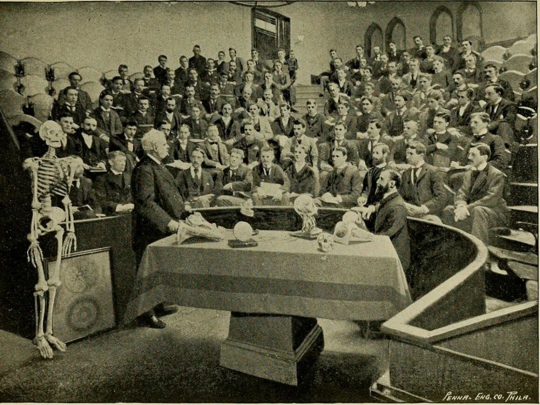 人体解剖的黑暗历史,人体解剖的黑暗故事