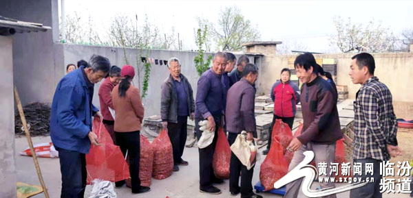 吉县苹果产业发展,山西吉县苹果产业园