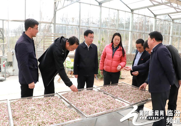 吉县苹果产业发展,山西吉县苹果产业园